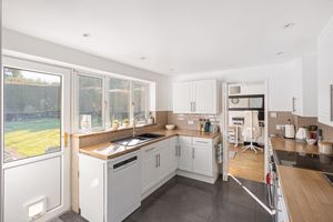 Photo 12- click for photo gallery